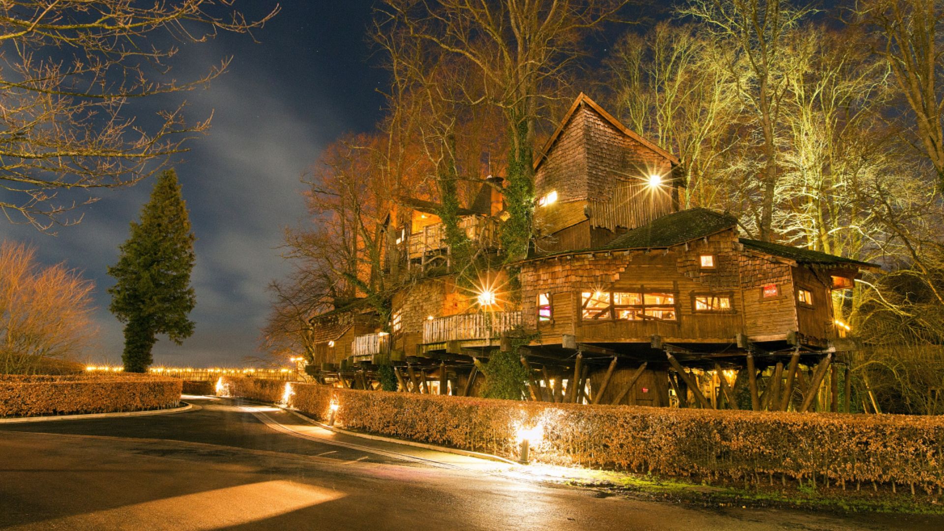 Alnwick Treehouse  View