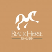Black Horse Beamish Logo